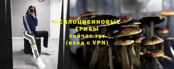 кокаин Алексин